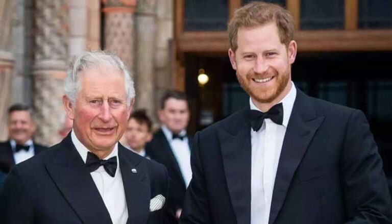 Prince Harry receives stern warning amid ongoing rift with palace - The News International