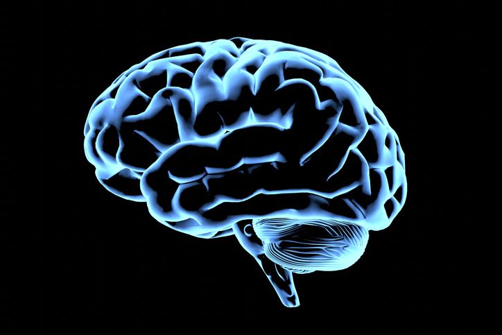 Our Brains May Be Two Brains in One - Newser