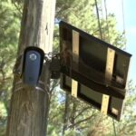 Flock cameras' alleged misuse leads to NC deputy being fired, suspension of the system in Franklin County - ABC11 News
