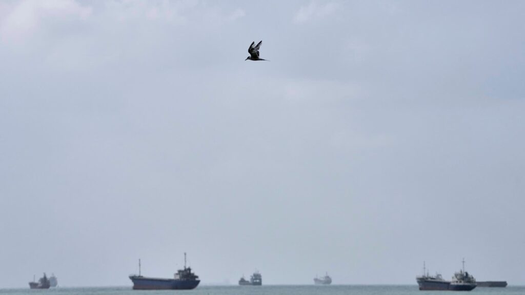 U.S. hits Iranian oil tankers, and other key Mideast developments - MPR News
