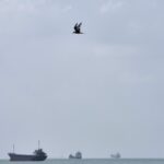 U.S. hits Iranian oil tankers, and other key Mideast developments - MPR News