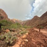 Human remains discovered in the Grand Canyon - KSL.com