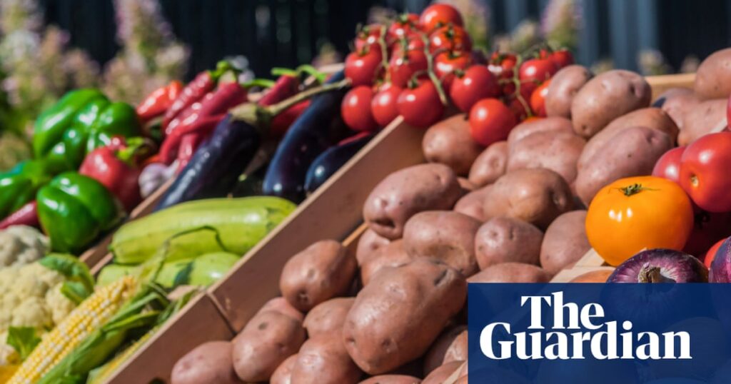 Likelihood of eating fresh produce increases with income for US adults, new CDC report shows - The Guardian