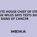White House Chief of Staff Susie Wiles Says Tests Show No Signs of Cancer | Ukraine news - #Mezha - Межа. Новини України.