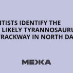 Scientists identify the first likely Tyrannosaurus rex trackway in North Dakota - Межа. Новини України.