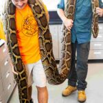 Look back at record Burmese python hunters caught In 2023 - Naples Daily News