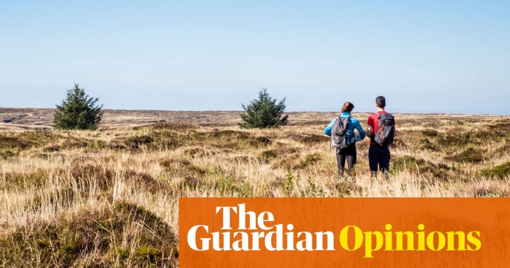 We greet the news that AI could extinguish us with a glazed indifference. What is the way out of this nihilism? - The Guardian
