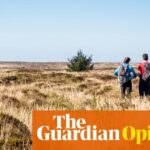 We greet the news that AI could extinguish us with a glazed indifference. What is the way out of this nihilism? - The Guardian
