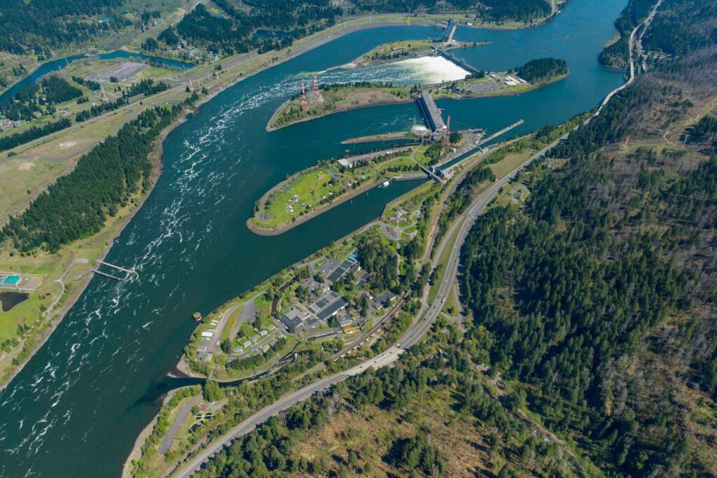 This year's Columbia River steelhead run is the smallest ever recorded - Hatch Magazine