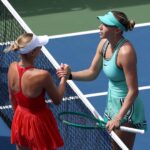 US Open star responds after fierce criticism over 'unsporting' gesture - AOL.com