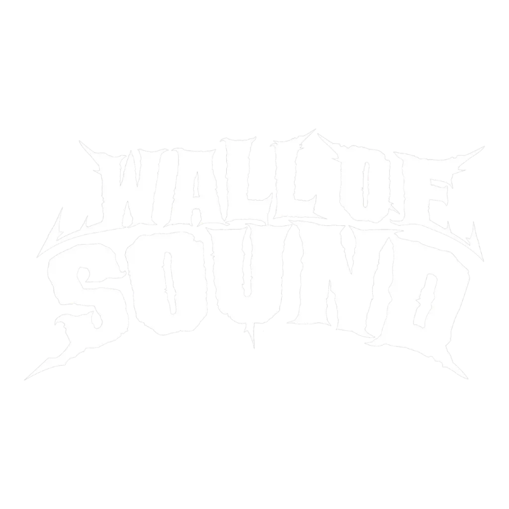 The Hayley Williams Show Parachutes Down To Australia (Kinda) - wallofsoundau.com