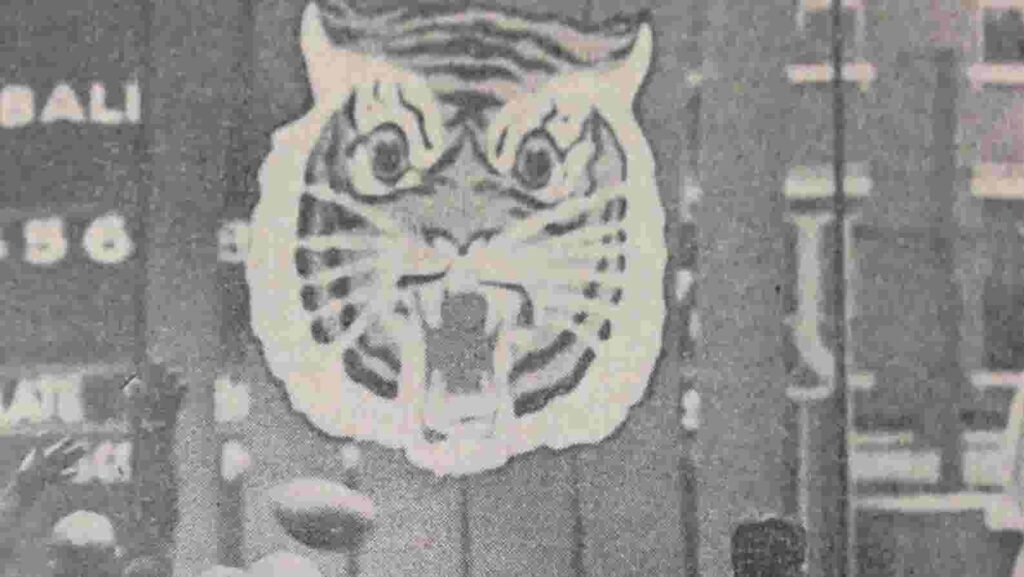 The original Cincinnati Bengals were named after a stove in the 1930s - Cincinnati Enquirer