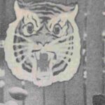 The original Cincinnati Bengals were named after a stove in the 1930s - Cincinnati Enquirer