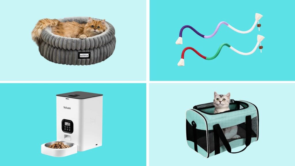 I'm a cat owner. Here are the 10 Amazon Labor Day deals I recommend - Lakeland Ledger