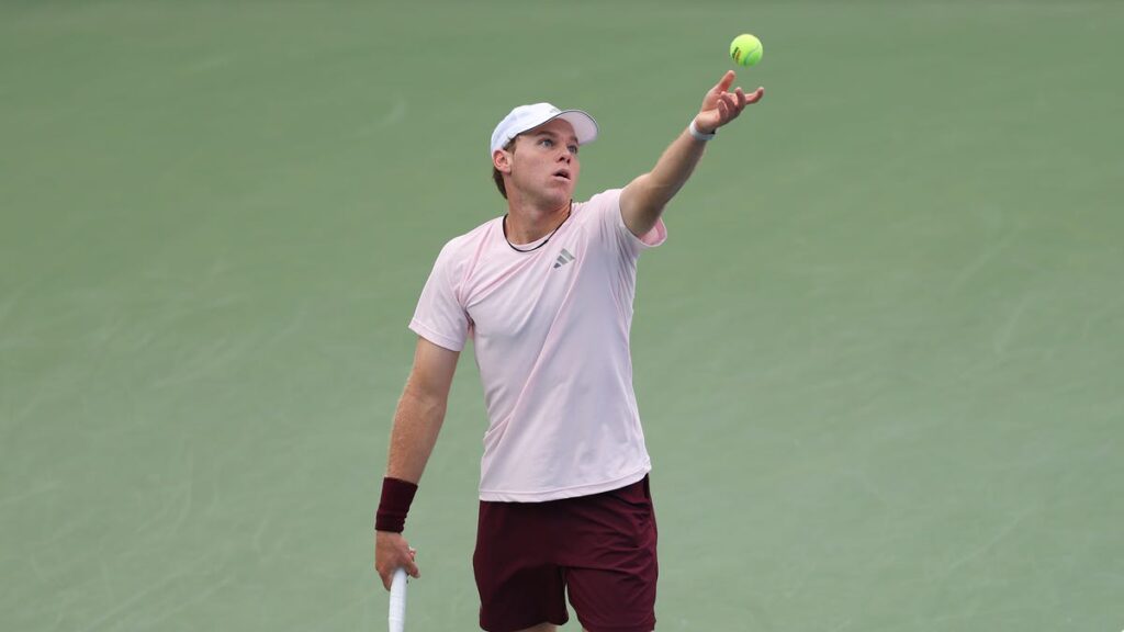 Meet American Alex Michelsen, the surprise quarterfinalist at US Open - usatoday.com