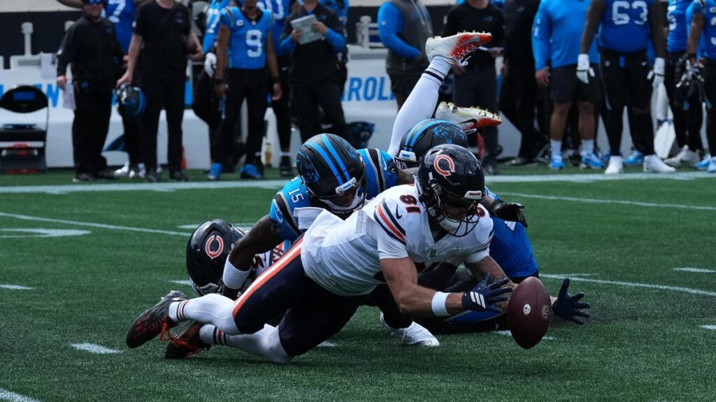 Panthers waive Jimmy Horn Jr. after costly muffed punt in Week 1 blowout - USA Today