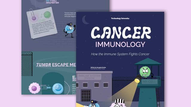 Cancer Immunology: How the Immune System Fights Cancer - Technology Networks