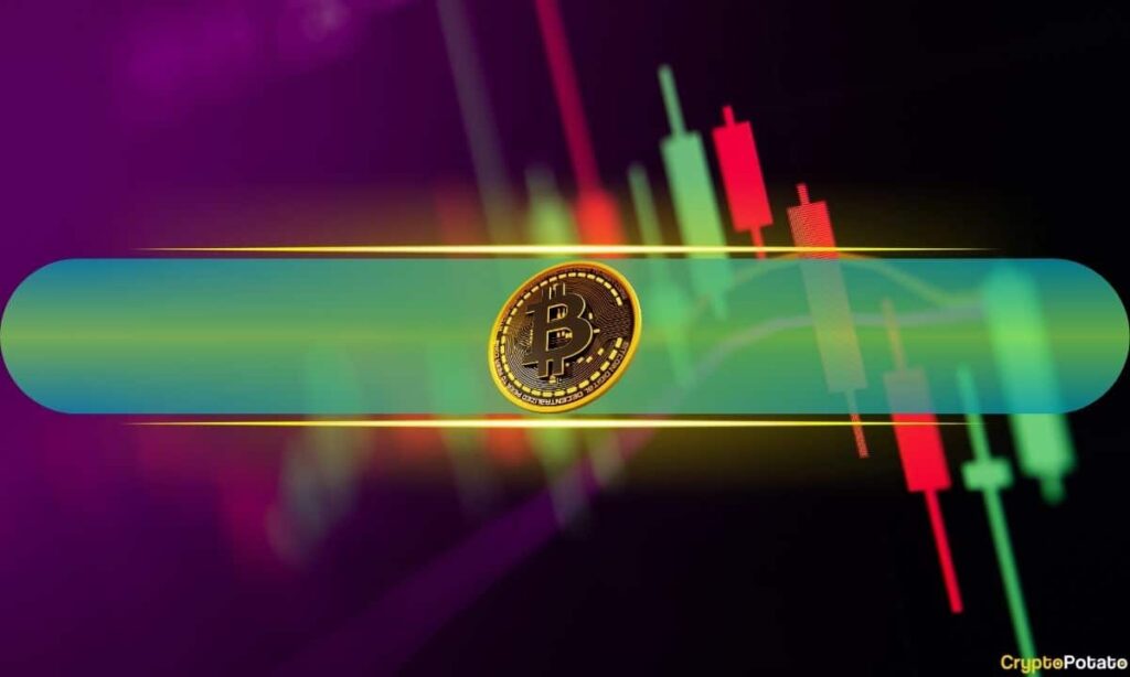 Crypto Market Cap Adds $150B Daily as Bitcoin (BTC) Soars Past $81K: Weekend Watch - CryptoPotato