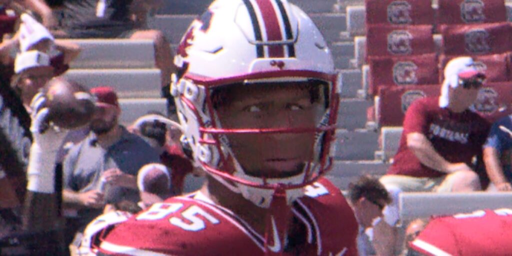 Gamecocks tight end, Cross alum Caden Ramsey arrested on Monday - Live 5 News