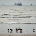 Iran targets Kuwait in retaliation for US bombardments, and other Mideast news - Press Telegram