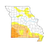 Expanding drought creates mounting challenges for Missouri cattle producers - Brownfield Ag News