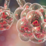 AI Repurposes Drugs in Fight Against Antibiotic Resistance - Inside Precision Medicine