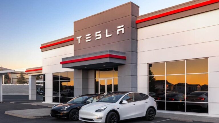 After making a fortune on Tesla stock, has this FTSE 250 fund found another star? - The Twelfth Magpie