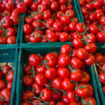 Georgia's tomato imports from Azerbaijan more than double in 2026 - Hortidaily