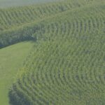 Iowa records one of its hottest early Septembers on record - KCRG