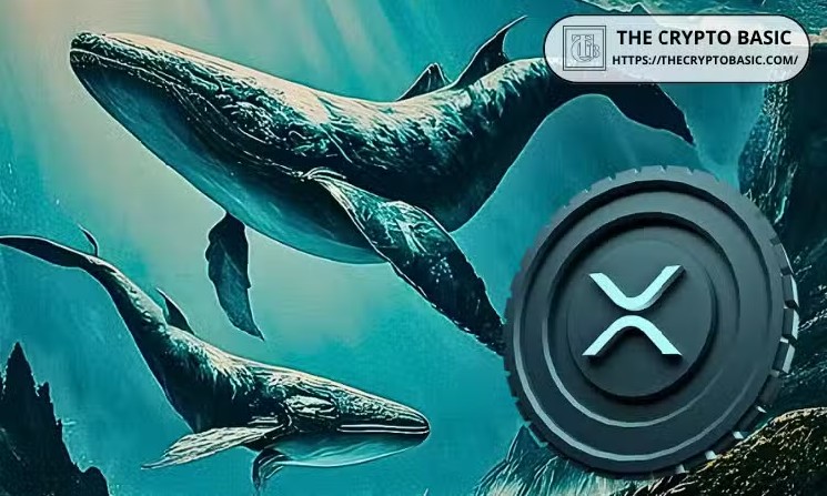 XRP Whale Transactions Pull $165M+ from Exchanges, Highest Since February - Cryptonews.net