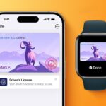 iPhone Driver's License Feature in Apple Wallet Just Launched in 16th U.S. State - MacRumors