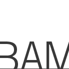 64th New York Film Festival - BAM | Brooklyn Academy of Music