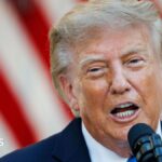 Trump hints US would not back UK over Falkland Islands due to lack of Iran war support - BBC