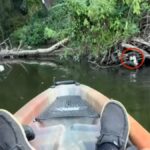 Kayaker Hears Tiny Baby Calling For Help And Paddles Out To Rescue Him - The Dodo