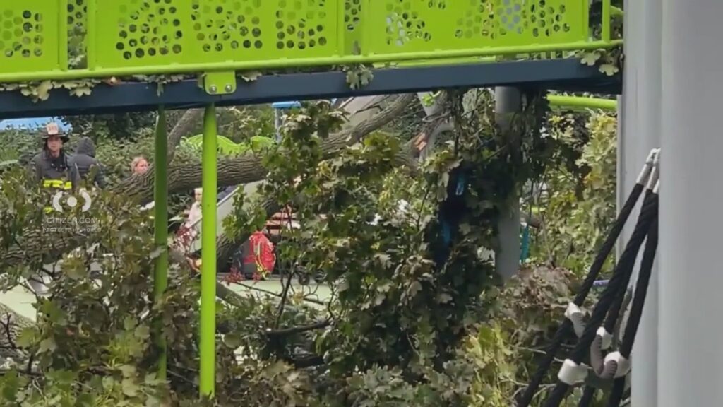 4 Hurt After Tree Collapses At Kelly Park Playground In Homecrest - News12 | Brooklyn