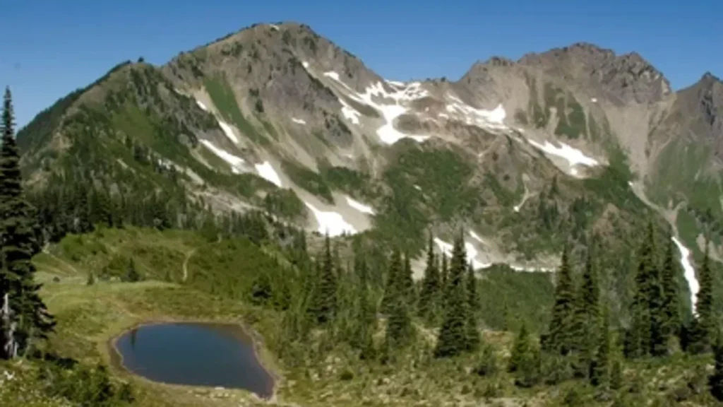 Body of hiker missing for 2 weeks recovered on Mt. Appleton in Olympic National Park - KVAL