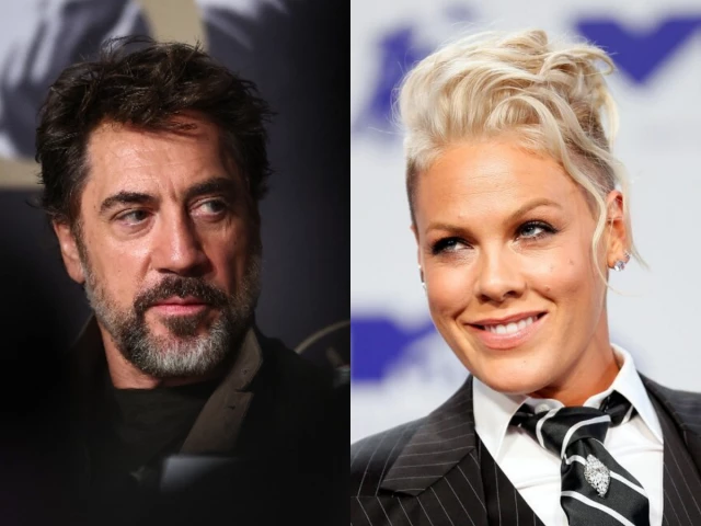 Javier Bardem shares petition to remove Pink as UNICEF ambassador amid Macklemore controversy - The Express Tribune