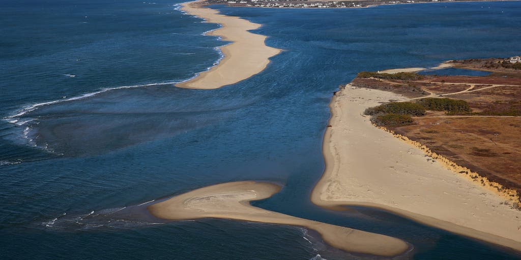 Woman injured in suspected shark attack while swimming at popular summer vacation destination - FOX Weather