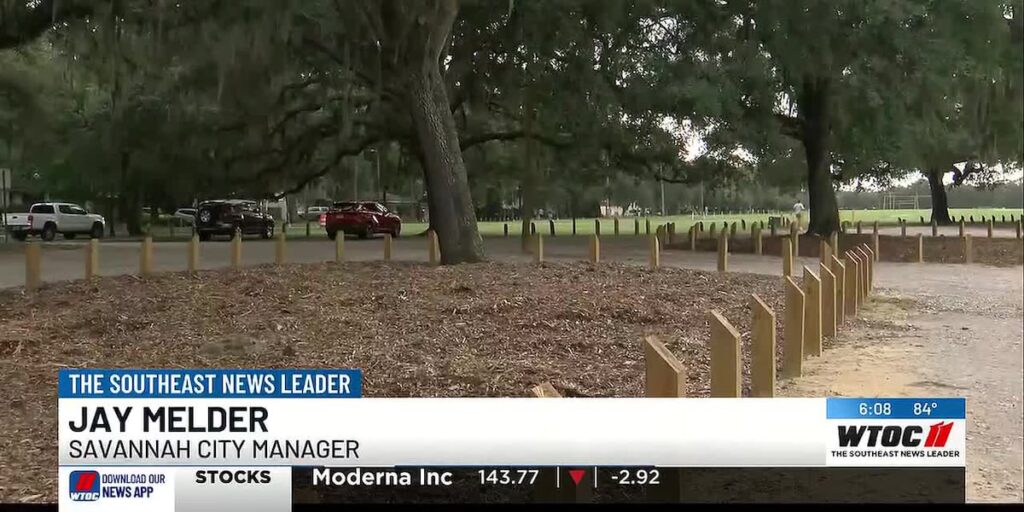 During Savannah bananas construction in Daffin park, nine live oak trees faced considerable damage, putting their lives at risk. - WTOC