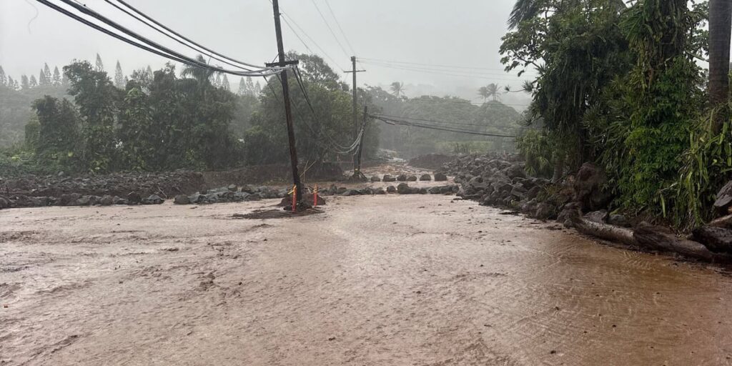 Hawaii Island residents, businesses urged to report storm damage from Hurricane Nolo - Hawaii News Now