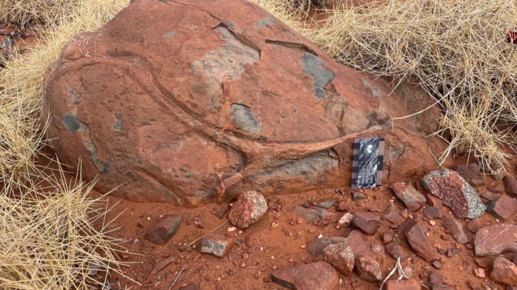 Water Was Already Sinking Into Earth’s Mantle 3.1 Billion Years Ago, Pilbara Lavas Suggest - natureworldnews.com