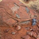 Water Was Already Sinking Into Earth’s Mantle 3.1 Billion Years Ago, Pilbara Lavas Suggest - natureworldnews.com