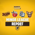 Padres Minor League Report: Miguel Andujar Has 2 More Hits As Return To Padres Nears - Padres Mission