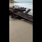 Nor'easter uncovers century-old shipwreck in Massachusetts - Modern Ghana