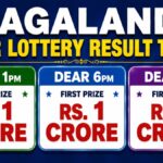 Nagaland State Lottery Sambad 14.9.2026 Today 1PM, 6PM & 8PM: Lottery Sambad Live; Full Winners List - Goodreturns