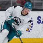 NHL Status Report: Stenberg to make preseason debut for Sharks - NHL.com