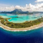 After countless hours searching for rare seahorses in French Polynesia, a photographer captured an adult - The Times of India