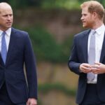 Prince William & Prince Harry's Relationship Reportedly Becomes a 'Very, Very Cold War' Amid Harry's UK Return - Just Jared
