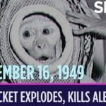 On this day in space! Sept. 16, 1949: A US launch of a V-2 rocket explodes, killing its monkey passenger Albert III - Space