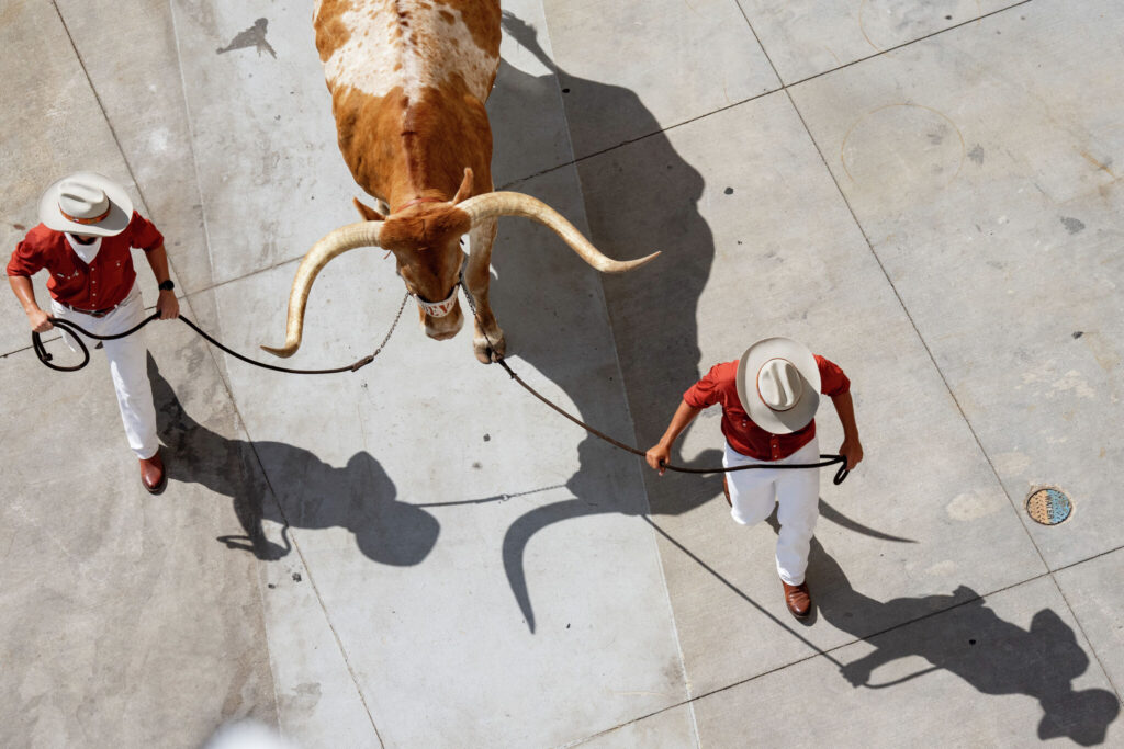 Can't make the game? See the best photos from Texas vs Ohio State - Austin American-Statesman